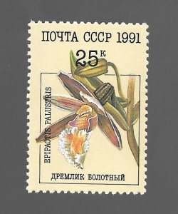 CCCP 1991 - MNH - Scott #5998 *