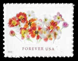 PCBstamps  US #5681 {58c}Tulips Stamps, MNH, (15)