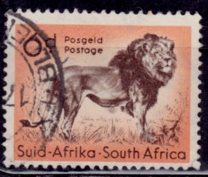 South Africa, 1954, Fauna - Lion, 6p, used**