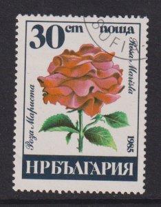 Bulgaria   #3078  cancelled  1985  roses  30s