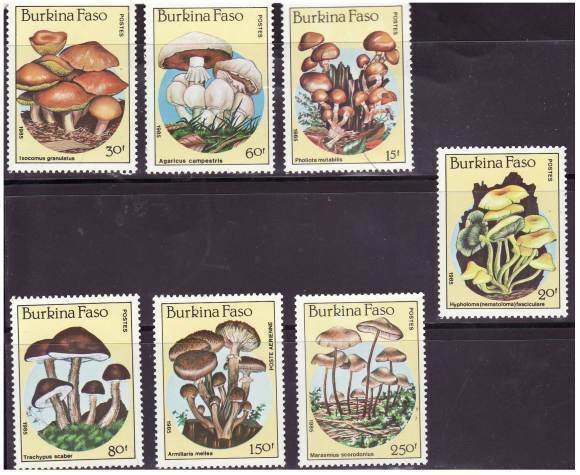 Burkina Faso - Mushrooms -  Set of 7 Stamps - 743-9