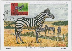 32157 - Somalia - POSTAL HISTORY - MAXIMUM CARD -1961: Zebra, Wild Animals, Safari,-