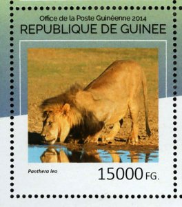 Lions Stamp Panthera Leo Wild Animal Souvenir Sheet MNH #10702-10705 