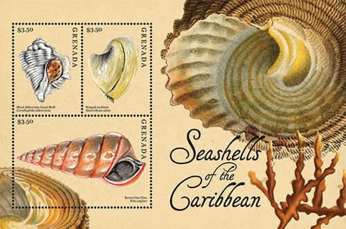 Grenada- Shells of the Caribbean Stamp - Sheet of 4 MNH