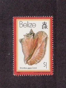 Belize Scott #484 MNH