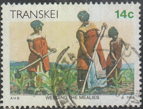 SOTH AFRICA - TRANSKEI    #141   Used