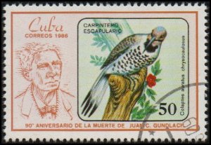 Cuba 2847 - Cto - 50c Cuban Northern Flicker (1986) (cv $4.70)
