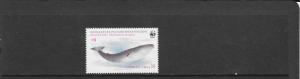 WHALE - Chile #680 WWF Issue