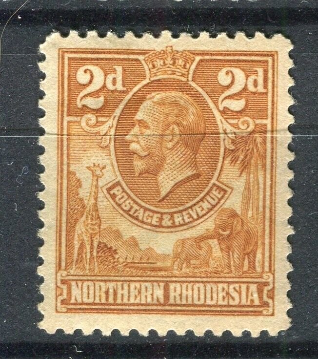 NORTHERN RHODESIA; 1930s early GV pictorial Mint hinged Shade of 2d. value