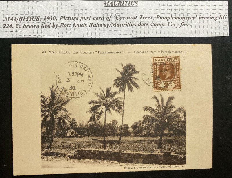 1930 Port Louis Railway TPO Mauritius Real Picture Postcard Cover Cocoanut Trees 