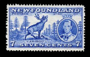 CANADA / NEWFOUNDLAND - 1937 CORONATION 7c ULTRAMARINE p.14 Line SG259 M/M MH /b