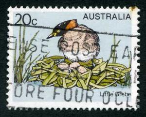 683 Australia Used - Little Grebe