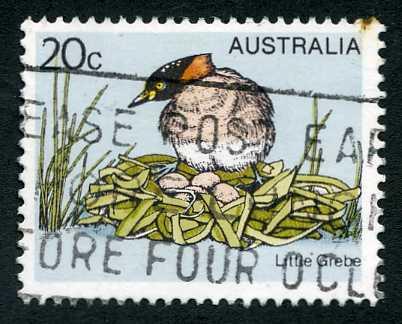 683 Australia Used - Little Grebe