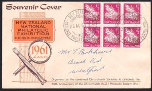 NEW ZEALAND 1961 Christchurch Philatelic Exhibition commem cover ..........B2820