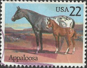 # 2158 USED APPALOOSA