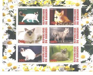 Burundi 2009 Cats Fauna Domestic Animals Mammals Fauna Pets M/S Stamps MNH (5)