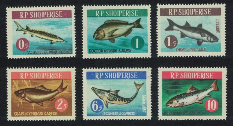 Albania Fish 6v SG#804-809