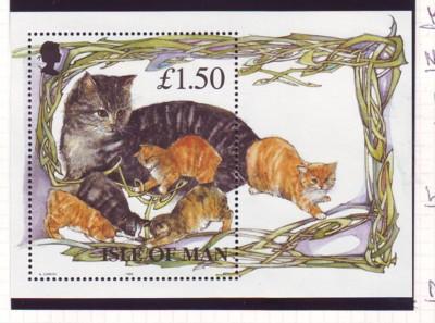 Isle of Man Sc 677 1996 Cats stamp sheet mint NH