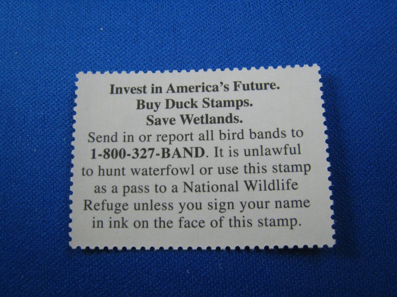 UNITED STATES 2010 DUCK STAMP - Scott #RW77    MNH