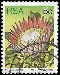 SOUTH AFRICA   #479 USED (2)