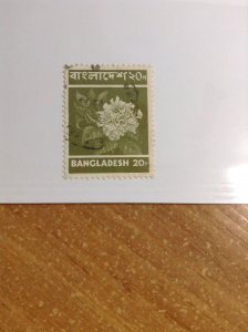 Bangladesh  # 46  used