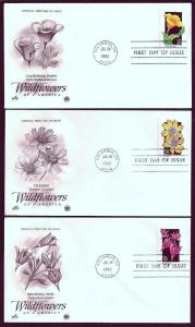 UNITED STATES FDCs (50) 29¢ Wildflowers 1992 Postal Commem