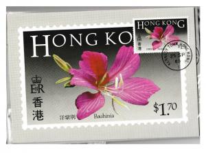 Hong Kong Flowers First Day Cancelled Postcard set A 1985