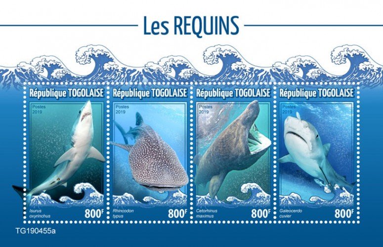 Togo Stamps 2019. - Sharks (Isurus oxyrinchus; Rhincodon typus; Cetorhinus maxim