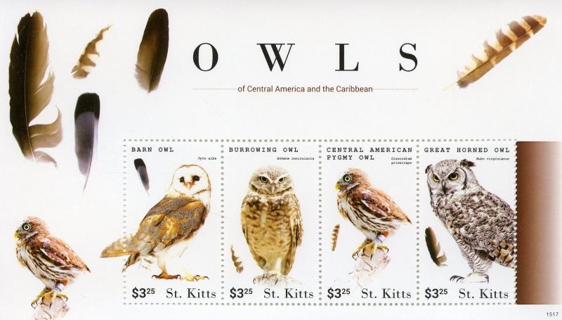 St Kitts 2015 MNH Owls of Cent American Caribbean 4v M/S I Birds Barn Owl Stamps