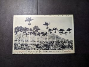 1906 British St Kitts and Nevis RPPC Postcard Cover to Rudolstadt Germany