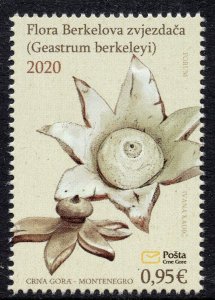 298 - MONTENEGRO 2020 - Flowers - Berkeley's Earthstar - MNH Set