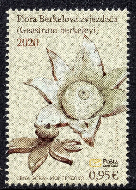 298 - MONTENEGRO 2020 - Flowers - Berkeley's Earthstar - MNH Set