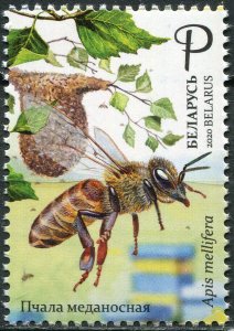 2020 Belarus 1v Bees. Insects Fauna.