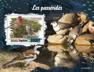 Togo - 2019 Sparrows on Stamps - Stamp Souvenir Sheet - TG190568b