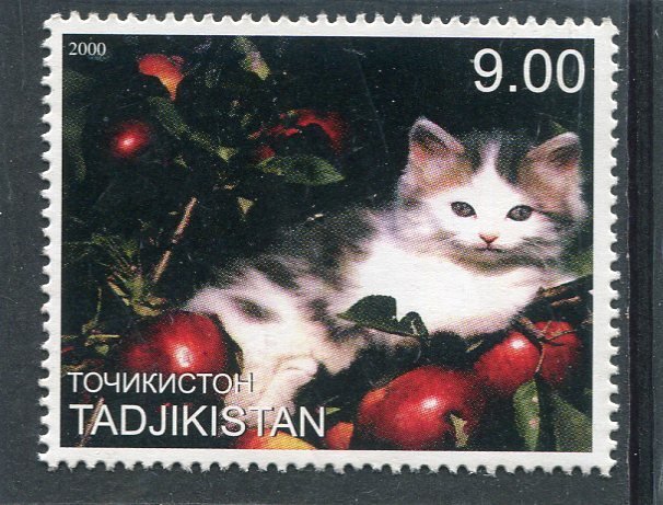 Tajikistan 2000 DOMESTIC CAT 1 value Perforated Mint (NH)