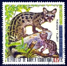 Genet, Mongoose, Guinea Ecuatorial stamp used