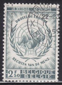 Belgium 529 Human Rights 1958