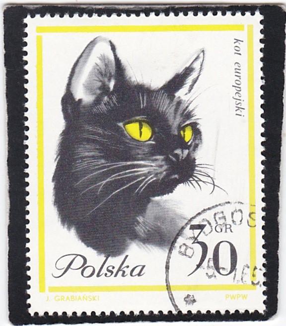 POLAND,  #   1216   used