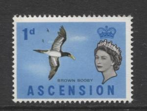 ASCENSION- Scott 75 - Bird - Brown Booby -1963 - MNH - Single 1d Stamp