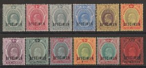 SOUTHERN NIGERIA 1907 KEVII New Colours set ½d-£1, SPECIMEN. MNH **.