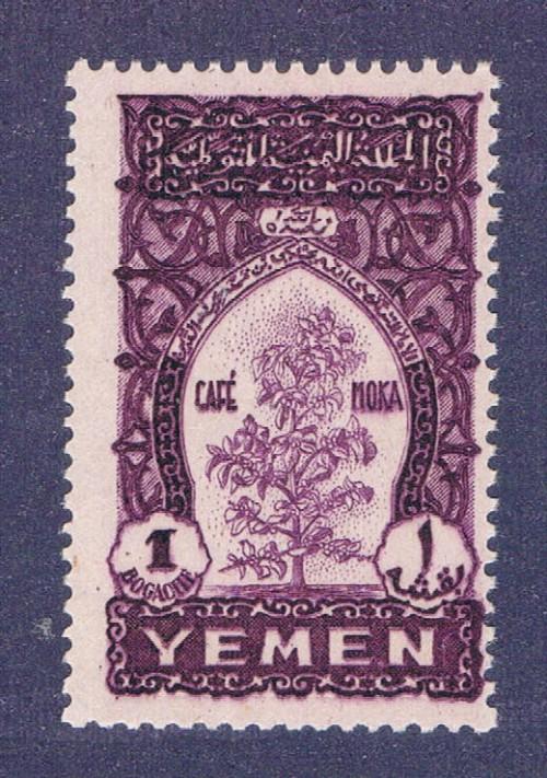 Yemen 54 Used Mocha Coffee Tree (Y0035)