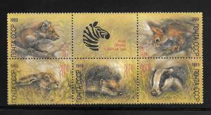 Russia #B152-B156 MNH 1988 Zoo Relief Blk 5+label.