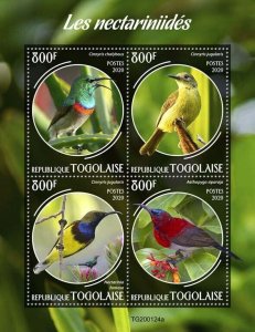 Togo Birds on Stamps 2020 MNH Sunbirds Sunbird Fauna 4v M/S