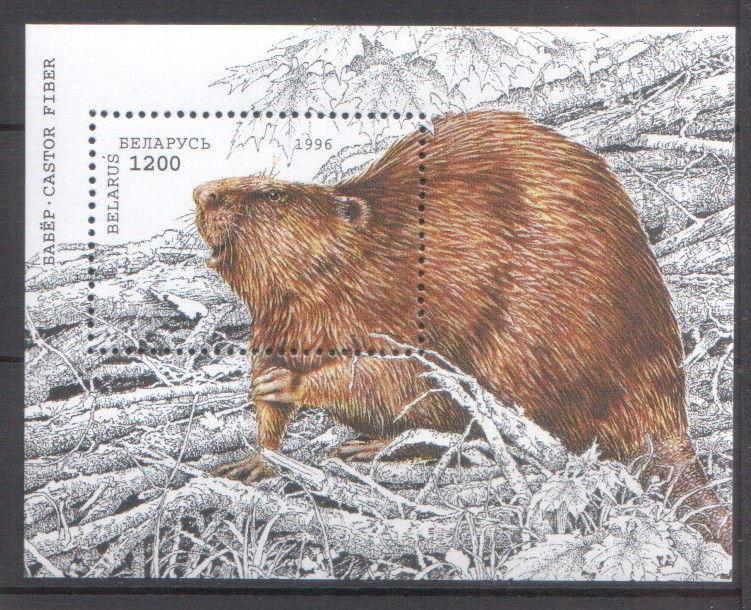 Belarus 1996 Fauna Animals Beaver MNH stamp Block