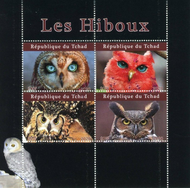 Chad Birds of Prey on Stamps 2020 CTO Owls Owl 4v M/S 