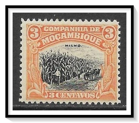 Mozambique Company #116 Corn MH