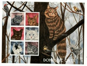 Sierra Leone 1997 - Domestic Cats - Sheet of 6v - Scott 2039 - MNH