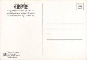 Post Card Maxi Card FDC for the 2012 Dogs at Work Seeing Eye Dog Stamp