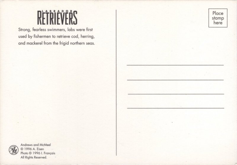 Post Card Maxi Card FDC for the 2012 Dogs at Work Seeing Eye Dog Stamp