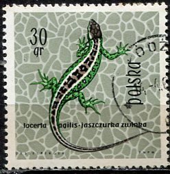 Poland; 1963: Sc. # 1134 Used CTO Single Stamp